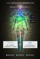 雅蘭床垫50周年开启天猫“双十一”预售狂欢