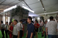 遇见新中式,QD瓷砖亮相第26届佛山陶博会