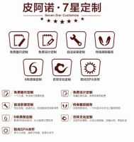 皮阿诺双11：全民文化+服务节
