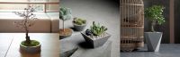 “什么design”水泥家居艺术，里外网尚新品