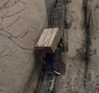 专家解读：看得见的是海尔服务 看不见的是其机制支撑