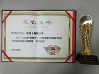 沃克斯电梯成功加冕2015十佳服务整梯品牌称号