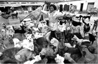 十犬十美一周年·爱犬人士在行动