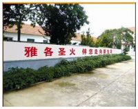 雅各圣火伴您走向新生活