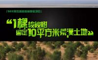 种植750万棵梭梭，还阿拉善平原绿色家园