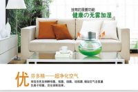 森林露，健康科技创造健康新生活
