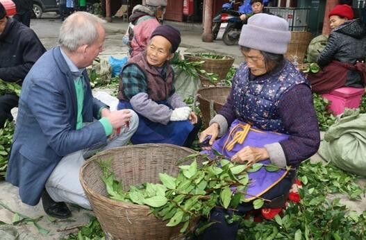 雅安名山老茶树依靠先进的采茶制茶工艺，在茶祖吴理真种下天下笫一株仙茶的名山，创立了老茶树鹰茶品牌。图为荷兰皇家公园总设计师尼克•威星与茶农交谈。