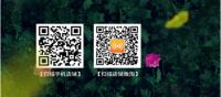 2015天猫双十一 雅路智能给你最真挚的惊喜