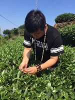 看中国限量版80后大叔们玩转“潮茶”新主义