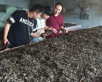 看中国限量版80后大叔们玩转“潮茶”新主义