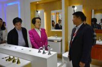 湖南省政协一行考察金煌集团 扶助环保产业两型化发展