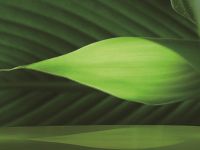 ORVILLE奥为-世界级的品质门窗