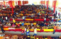 中国红木城在京作古典家具之乡—河北大城落成