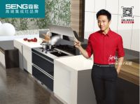 森歌集成灶让您的厨房美感与实用兼得