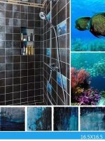 情迷深海，水火交融 —— IMOLA安特瑞斯系列
