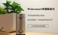 wokesmart冰箱宝：背奶妈妈必备神器