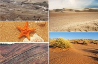 IMOLA卡拉哈里系列——沙漠印象，粗犷自然