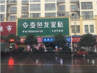 成就你的财富梦  变色龙与你携手前进