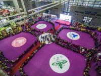 第二届深圳青年室内设计师相亲大会圆满落幕