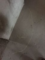 保利香槟国际公益验房活动获业主齐点赞