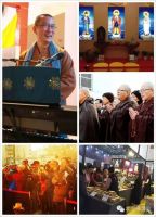 2015北京佛博会——“一带一路”上的金莲花