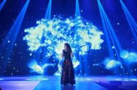 第十三届(2015)现代装饰国际传媒奖在深圳隆重举行