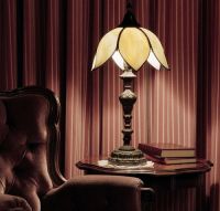 室内氛围自己把握 常用四种灯具选购攻略