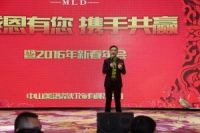 “携手共赢”成2016年灯饰照明行业主流趋势