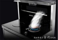 春节将近 金利集成灶提前让你回味家的味道