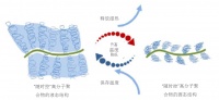 无惧寒潮突袭 斯林百兰恒温床垫为你守护温暖好眠