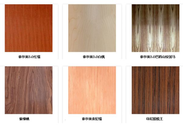 泰尔美产品图