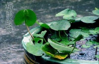 梅雨季节 家用中央空调的妙用多多