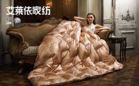 金条免费送 艾莱依家纺“‘金’动全城”全国启动