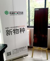 阿迪斯：全新一代木纹砖叫“磁木地板”