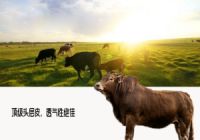 优家购现代人气沙发 配置顶级当然气度非凡