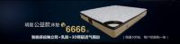 8.20胡杏儿邀你相约徐东欧亚达，一起改变世界