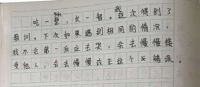 公益的力量，我们一起见证!