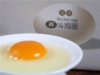 鲁西斗鸡蛋  吃出黄金免疫力