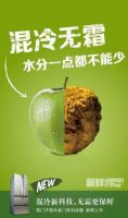 混冷冰箱领导者-西门子混冷多门冰箱浙江全面上市