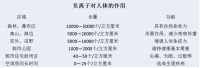 把森林搬回家 大自然首推净界?森睡眠负离子床垫