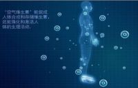 家装污染不用愁 九福源负氧离子让您安享居家生活