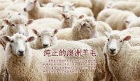 SleepMaker造梦者床垫 原汁原味 澳世无双