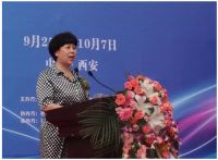 陕西省第七届建材家居博览会盛大启幕