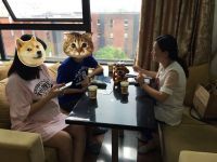 91装修|报告业主，我们在大金空调逛店买买买！！！