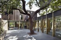 围绕一颗百年梨树 建了一栋高逼格住宅