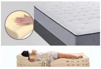 优家购Sealy牌美国进口床垫：健康睡眠起义