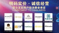 星光联盟成为古镇首个“灯饰照明诚信示范园区”
