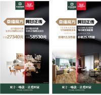 生活家装饰双11嗨款：做整装，靠实力