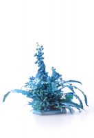 中赫时尚“镜花”空间花艺艺术展，让你爱上跨界设计无厘头！