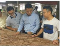 走进木斯特：四大优势导引百万顾客第一选择